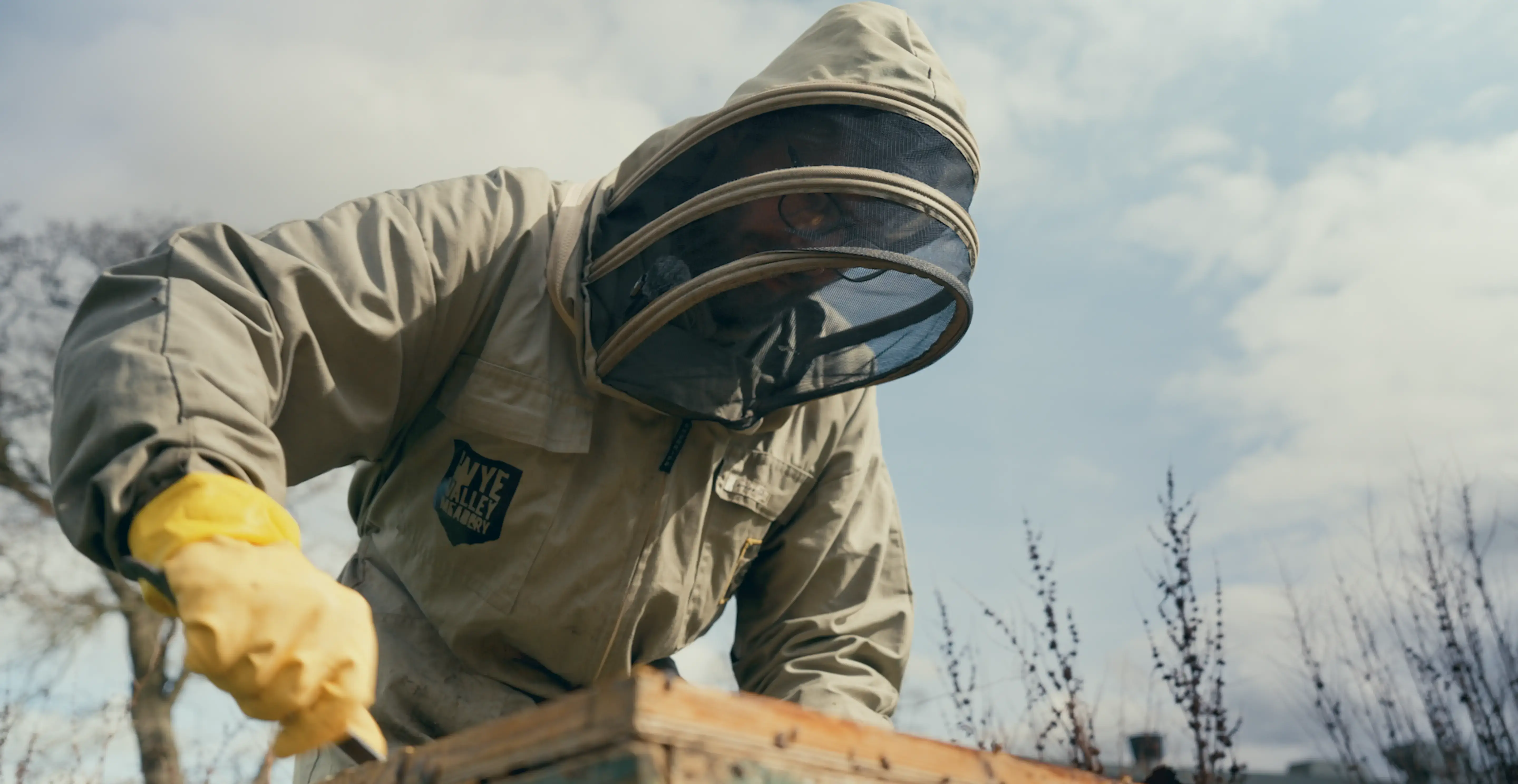 A Guide to Beekeeping